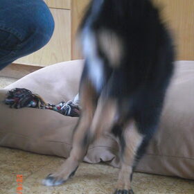 JUMP! (3-3)
