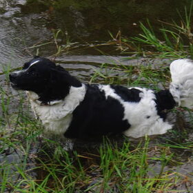 in het water :)