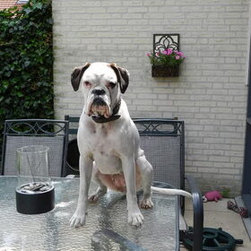 af en toe een beetje stout!