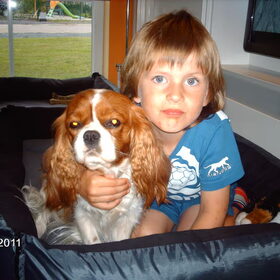 Hondenfoto van Witte-Herder-en-Co