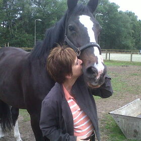 Hondenfoto van liesbeth,Turbo,Luna, Levi en Faith