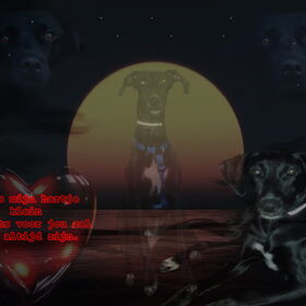 dani wallpaper