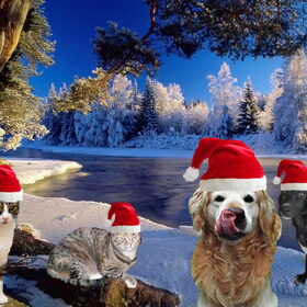 dierenfamilie