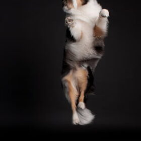 jump