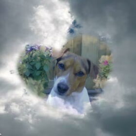 Boven in de wolken daar ben jij nu. :(