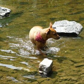 Ardennen 2011..even pootje baden