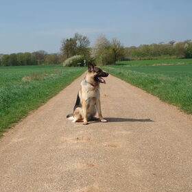 op zwier in de bourgogne , vele km wandelgenot