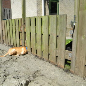 hond van de buren aan de andere kant