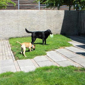 spelen met buurman Joep