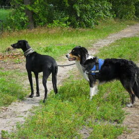 samen aan de wandel