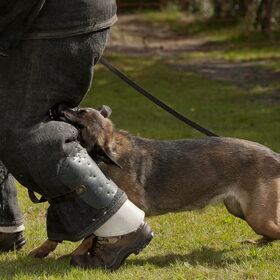 Op het PH trainingsveld waar ik en ook Hetty regelmatig te…