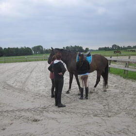Hondenfoto van liesbeth,Turbo,Luna, Levi en Faith