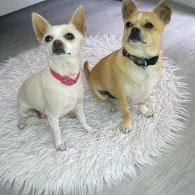 Bobby en Lola (L)