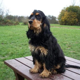 Lizzy 9 Maanden Oud ... Picknick???
