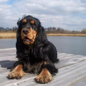 Lizzy 11 Maanden Oud ... Effe Chillen!