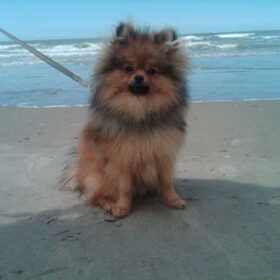 9 maand oud