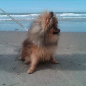 9 maand oud
