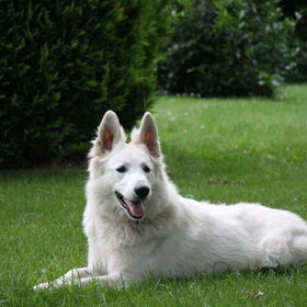 Onze Dunya, grote dochter en vriendin van Daisy