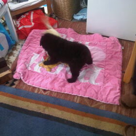 Met zijn 2e spelen (24-7-2011)