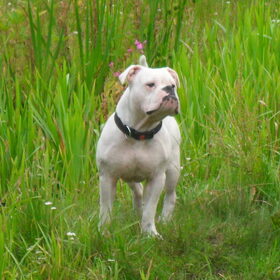 Zorran 10,5 maand oud