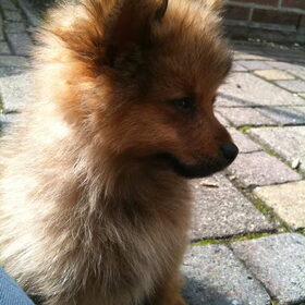 Mijn lieverdje