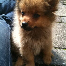 My Baby