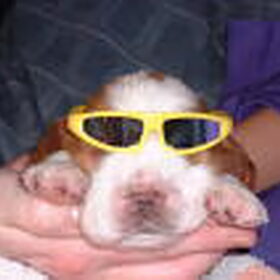 Hoezo EEN ZONNEBRILLLLLLLL!!!!!!