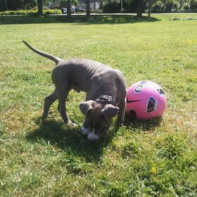 Voetballen!