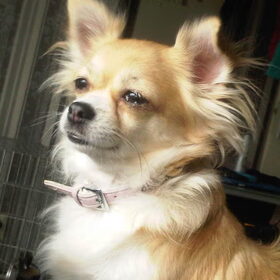 Chloe