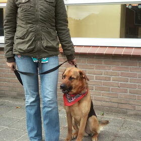 kim en max