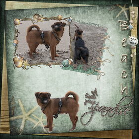 Scraps (4)