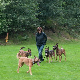 Hetty dankjewel voor de foto's