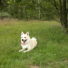 lekker in het bos onder een boom;)
