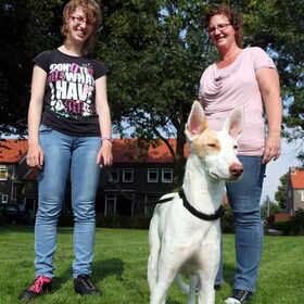 Hondenfoto van delilah, (mede)baasje van drum