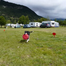 mijn frisbee was natuurlijk ook mee