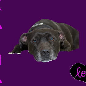 voor melissa en dempsey