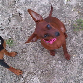Lina en Jazzy