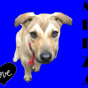 voor melissa en dempsey