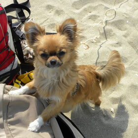 op het strand
