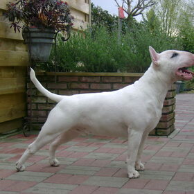 Orion 1 jaar oud
