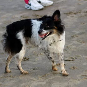 Vrolijke vent op strand