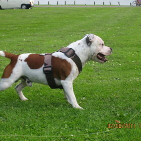 mooierd
