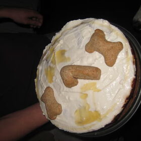 Verjaardags taart voor beide toen ze 1 jaar waren :D