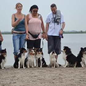 Ons 2e nestje tijdens de nestreunie op 3 aug 2011 samen met…