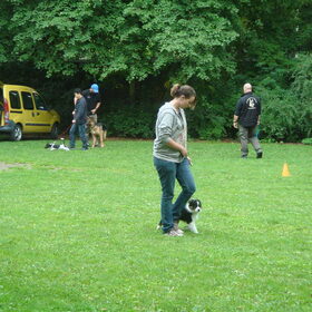 1e keer puppycursus (zaterdag 30 juli) Nee ik schop haar niet!…