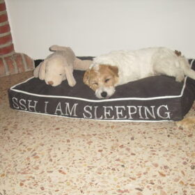 sssh i am sleeping..