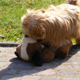 spelen met mijn liefste knuffel de snuggle pup :-)