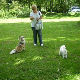 Fleur, San en Chicka even op het grasveld