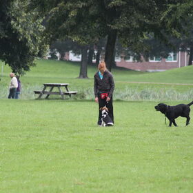 Hondenfoto van team Shadow