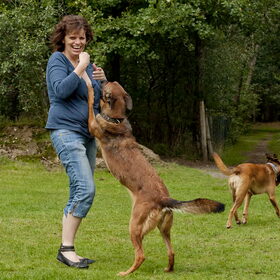 Hondenfoto van De Mecheltjes clan